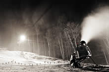 Садовые опрыскиватели